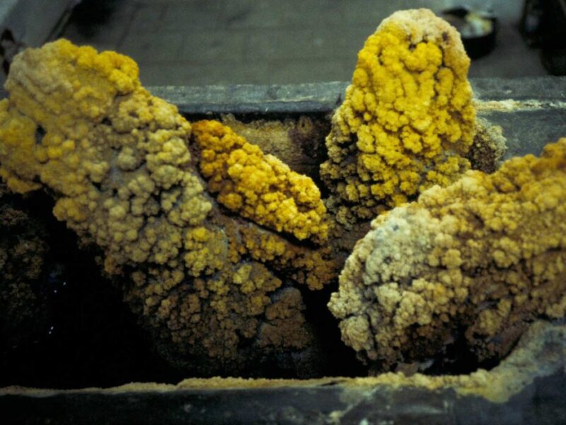 Kunstenaarsinitiatief Schottenburch Kunstenaarsinitiatief Schottenburch